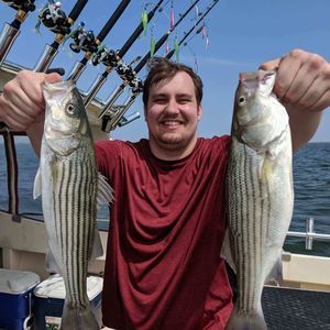 Meet your Posher, Clayton